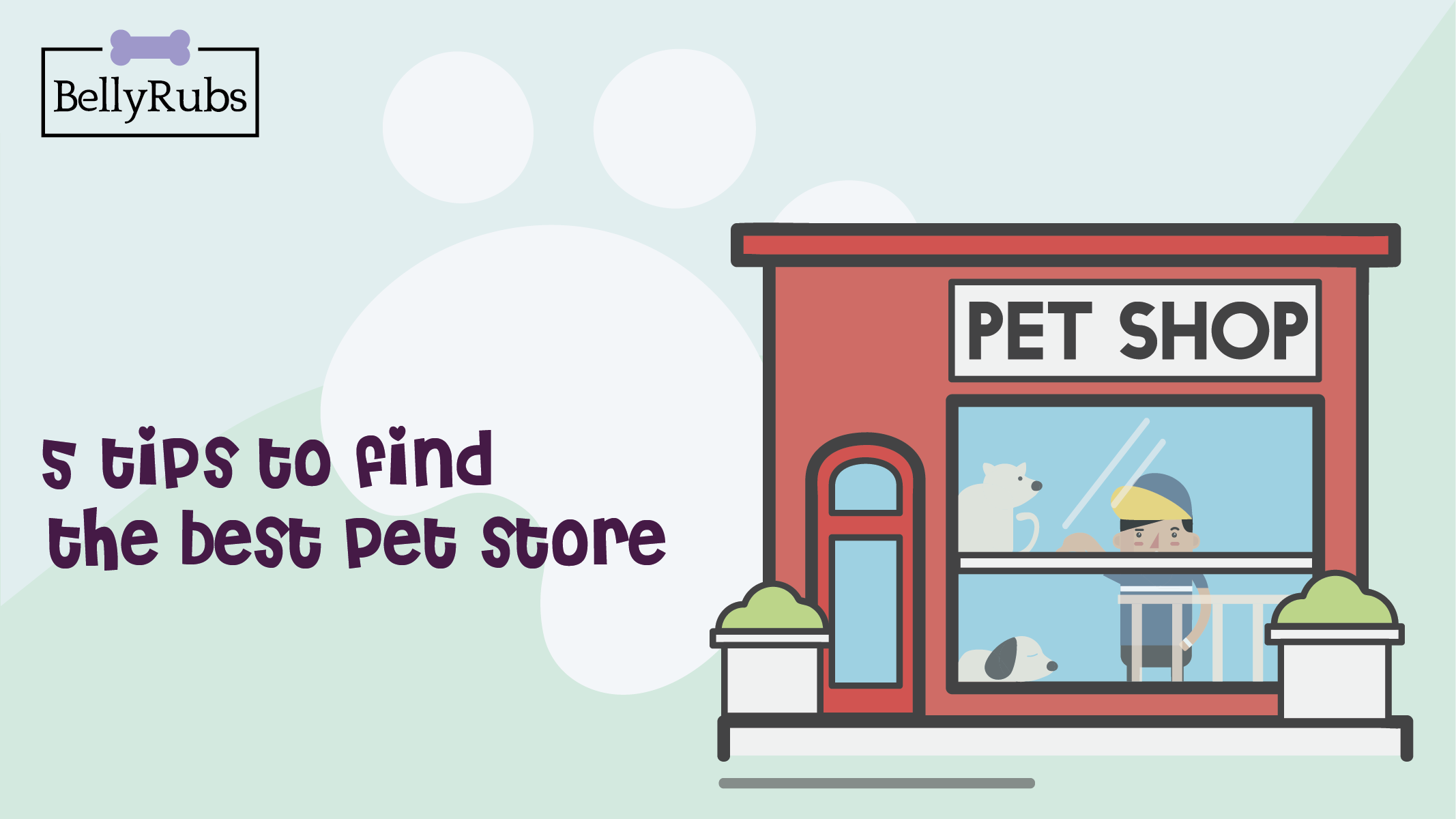 Biggest online pet shop store