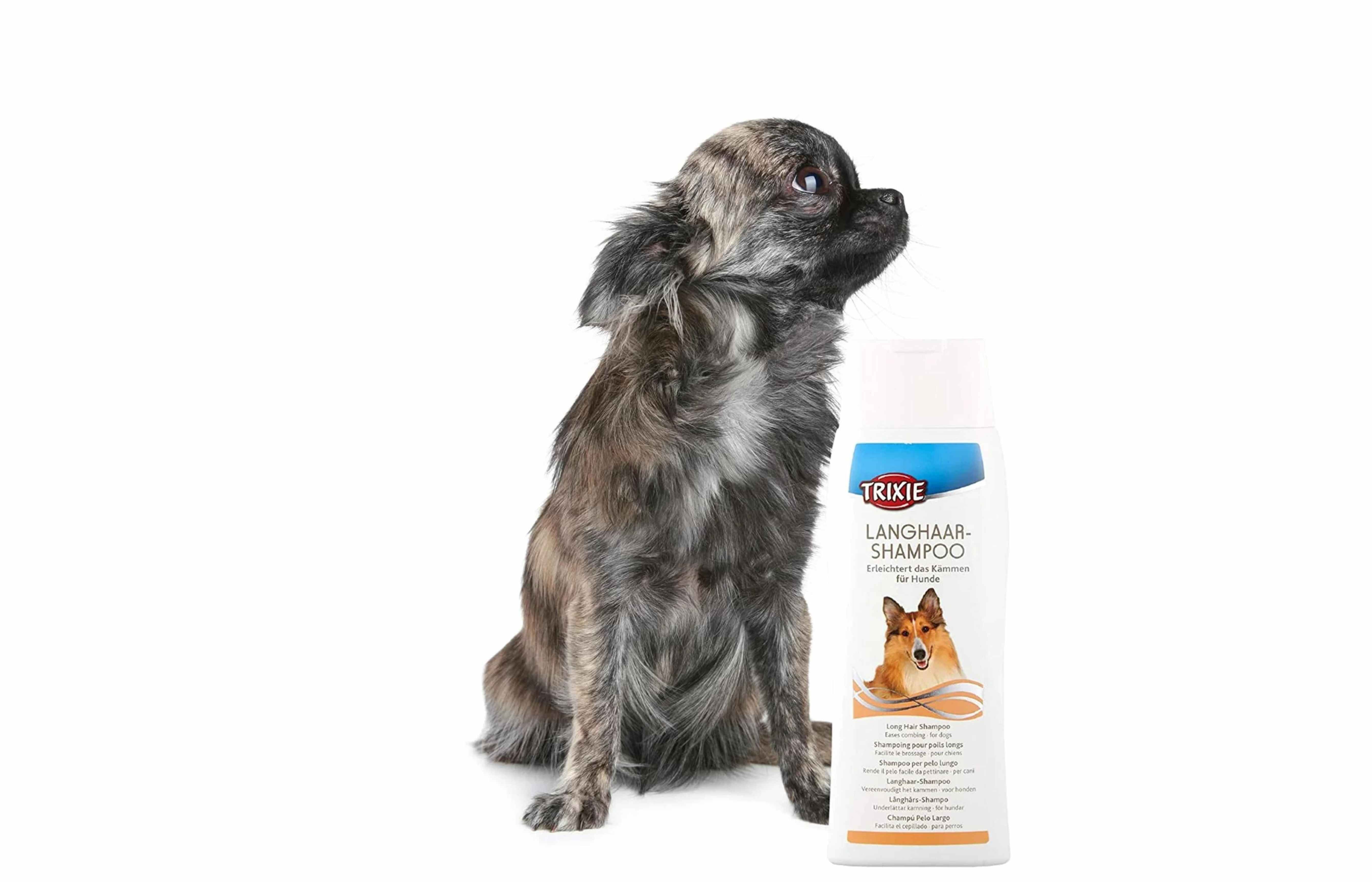 Dog Shampoo How to Choose the Best Dog Shampoo Online BellyRubsIndia