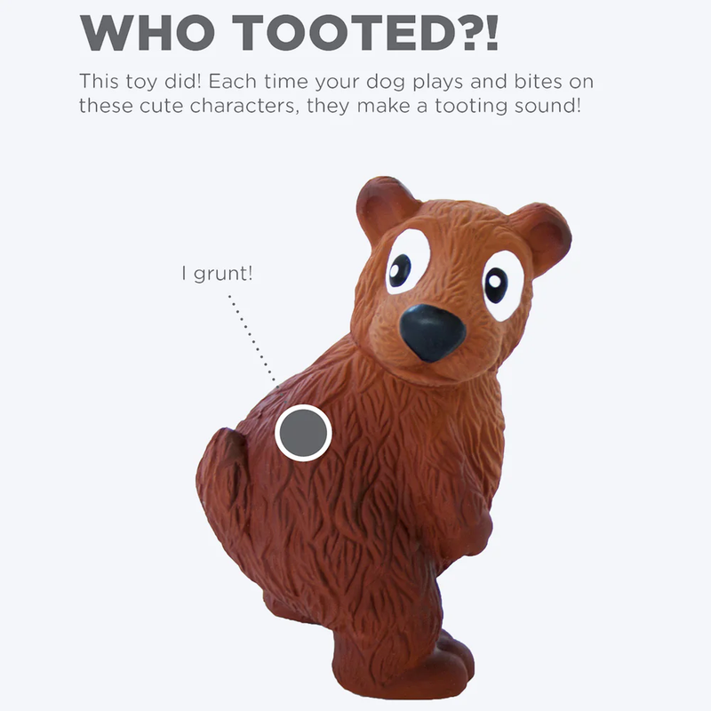 Tootiez Bear Latex Rubber Dog Toy