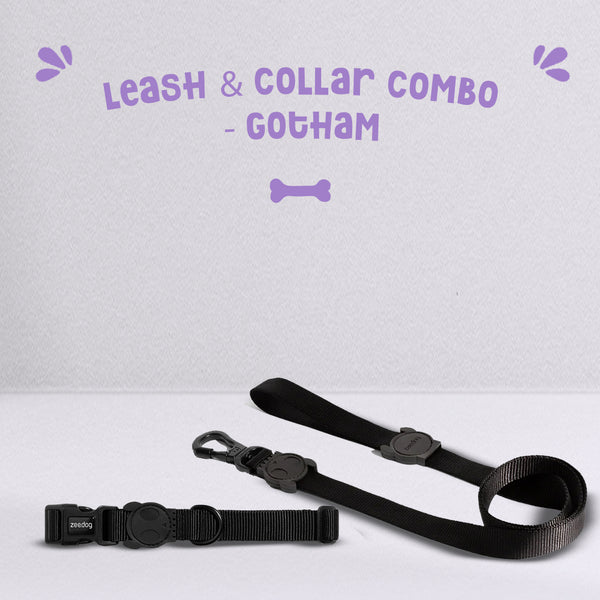 Gotham - Collar & Leash Combo