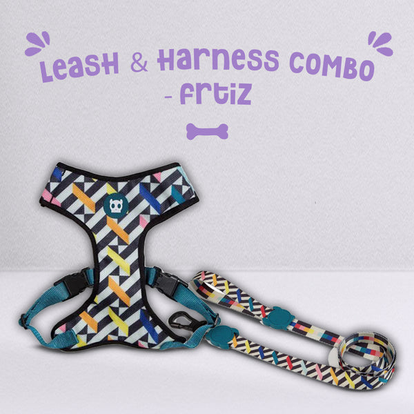 Fritz - Leash and Air Mesh Harness Combo