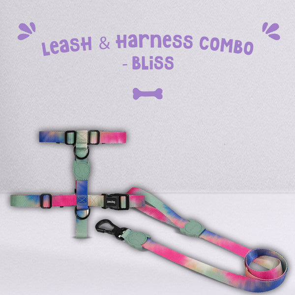 Bliss - Leash and H-Harness Combo