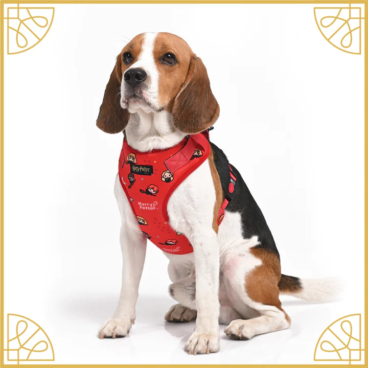 Friends of Harry Potter Dog Harness