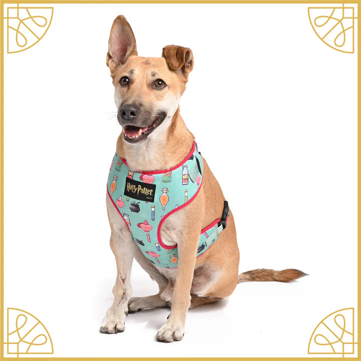 Potions in Motions Dog Harness