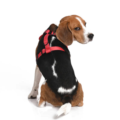 Friends of Harry Potter Dog Harness