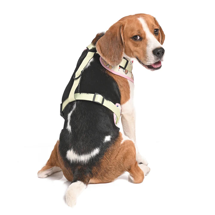 Every Flavour Bean Dog Harness
