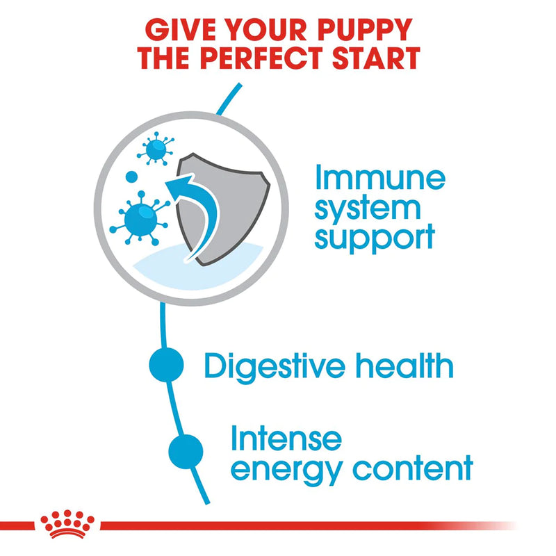 Royal Canin Mini Puppy Dry Dog Food