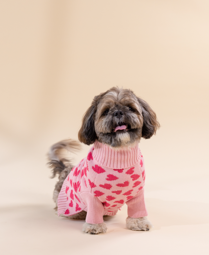 Love is in the Air Pink With Heart Print Dog Sweater | BellyRubs