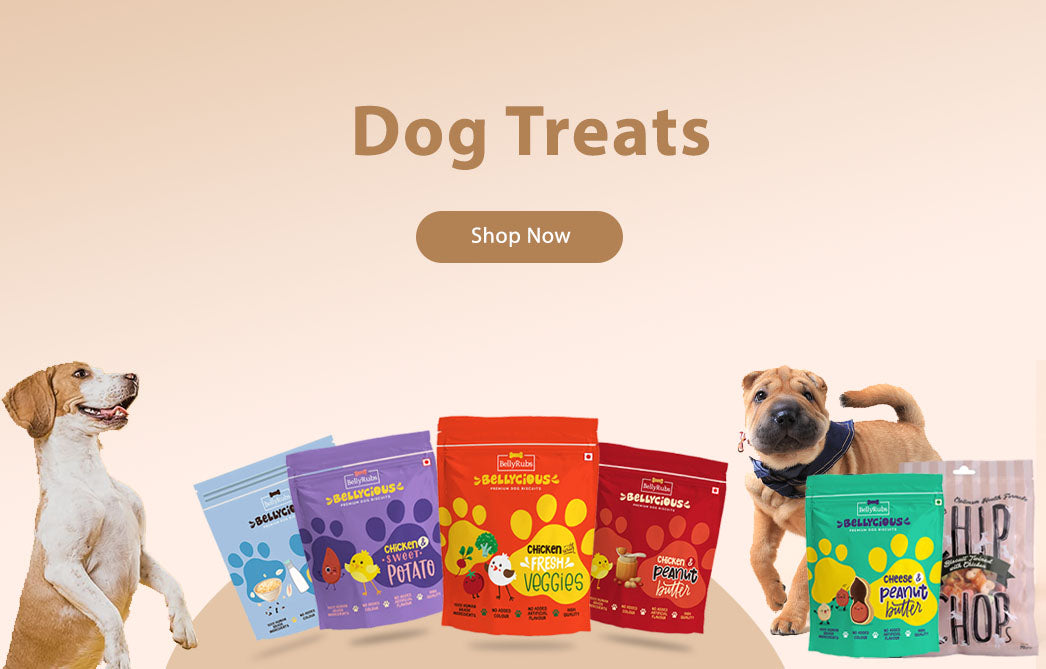 Best Online Pet Store India - Pet Products & Supplies - BellyRubsIndia