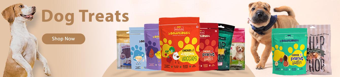 Best Online Pet Store India - Pet Products & Supplies - BellyRubsIndia