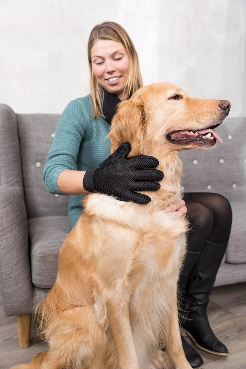 Fur Care Glove(24*16cm)