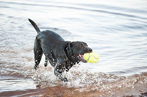 KONG AirDog® Football