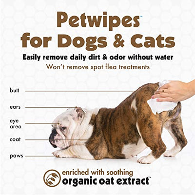 Big n Thick Natural Pet Wipes (100 pieces)