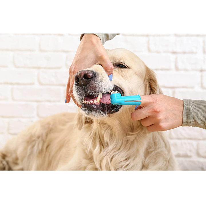 Toothbrush  for dogs