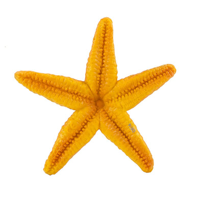 Starfish Latex