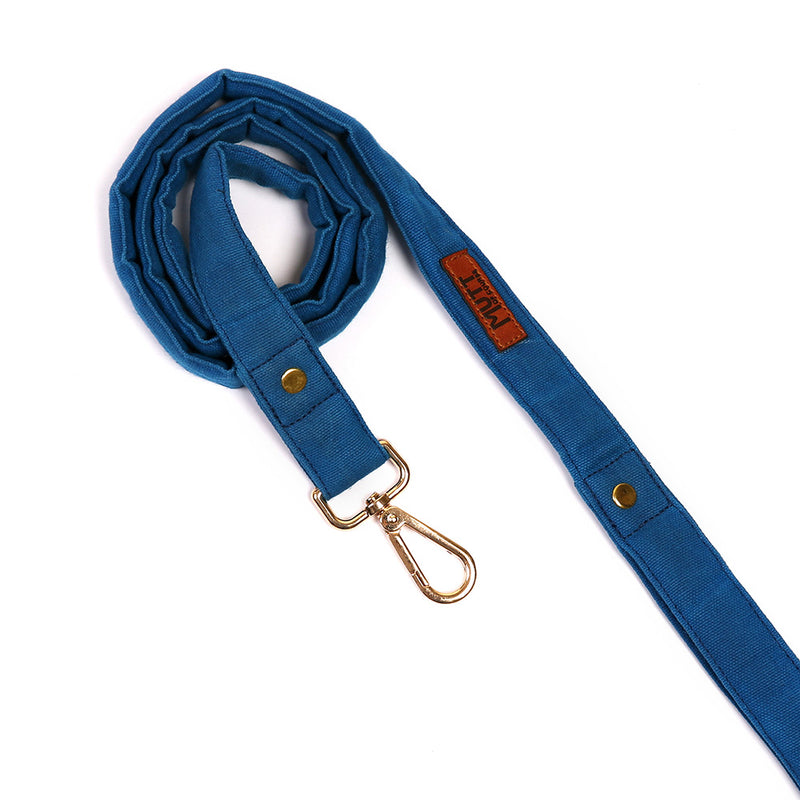 Blueberry Leash (Water Resistant)