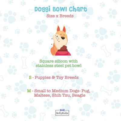 Square Silicon with Stainless Steel Pet Bowl-Orange