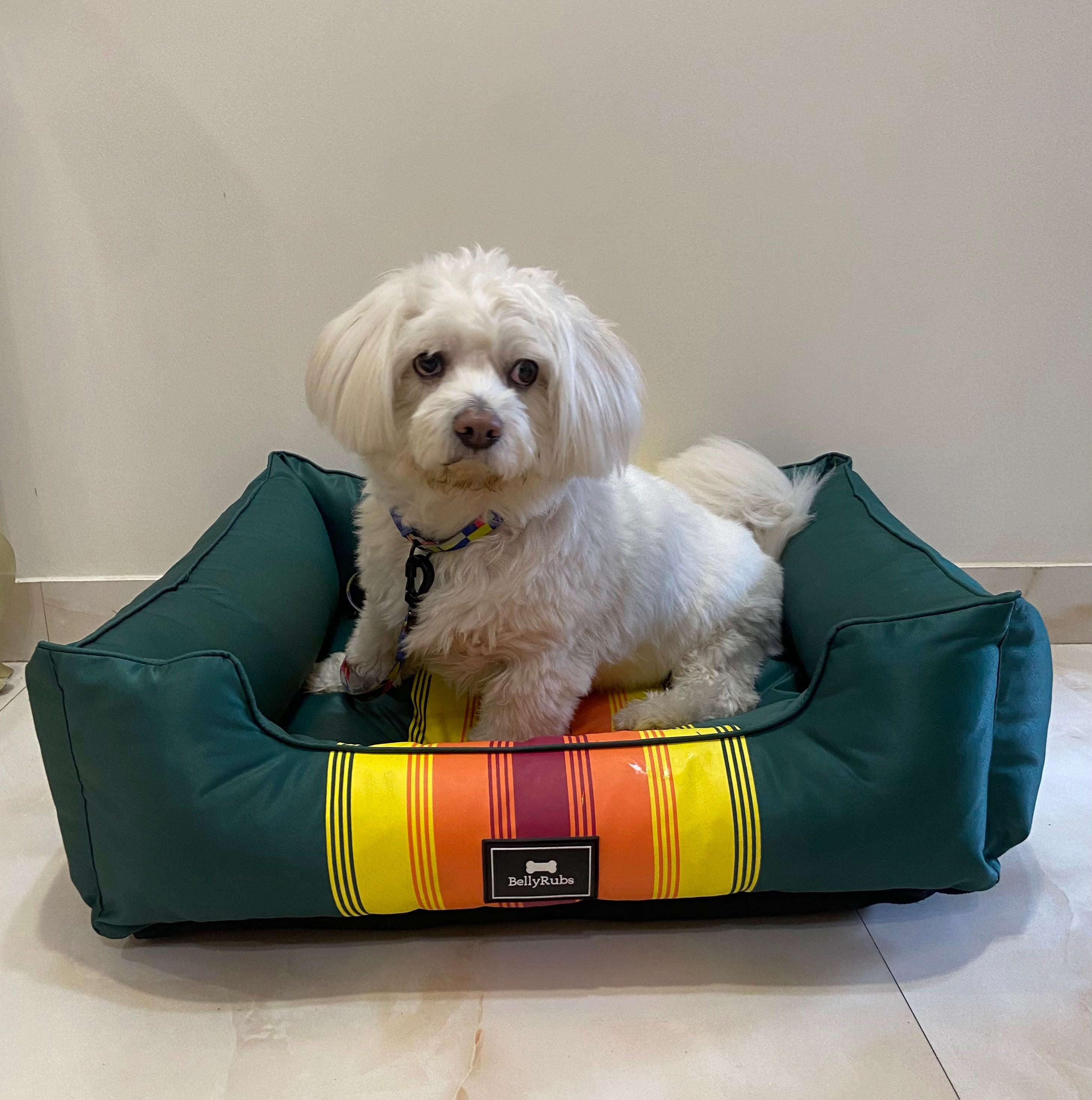 Buy dog bed online best sale