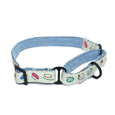 Every Flavour Beans Dog Martingale Collar