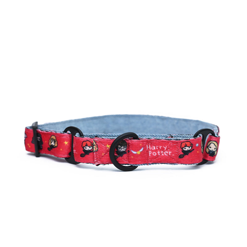 Friends of Harry Potter Dog Martingale Collar