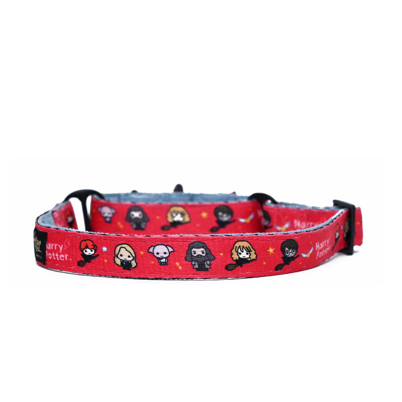 Friends of Harry Potter Dog Martingale Collar