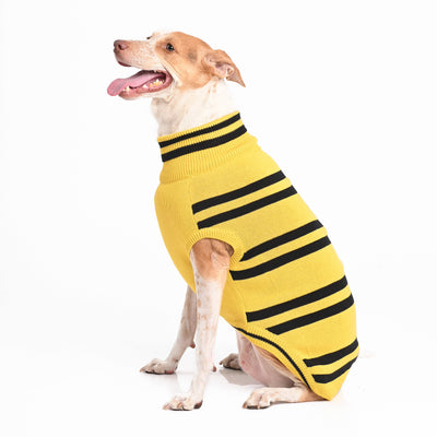Hufflepuff Dog Sweater