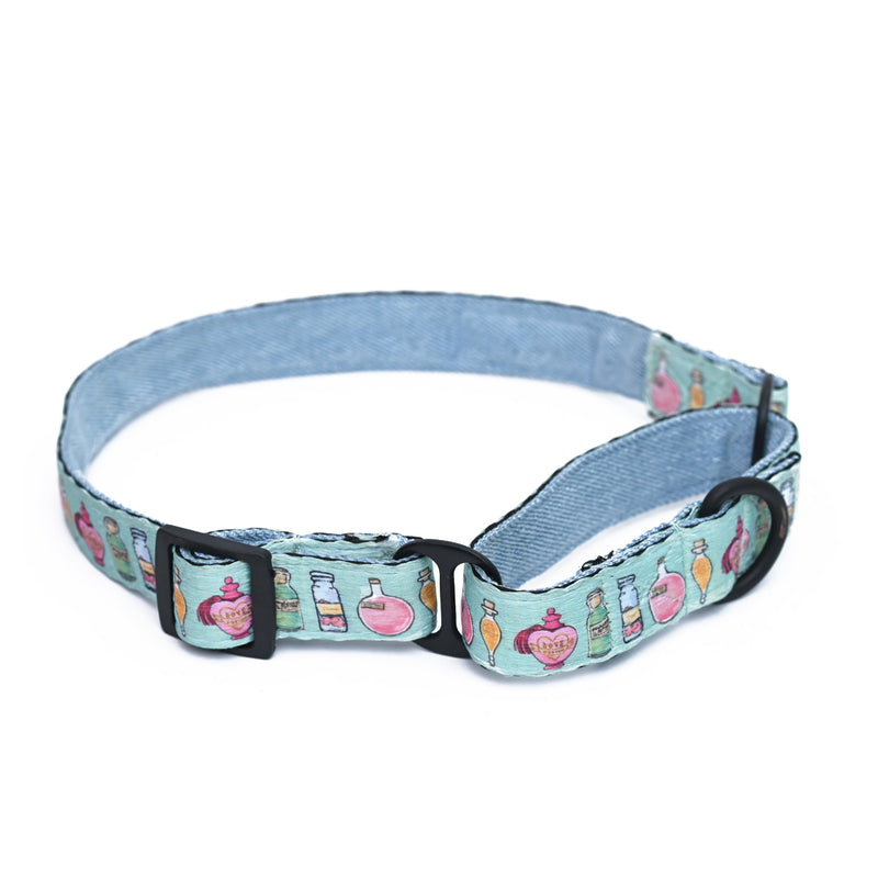 Potions in Motions Dog Martingale Collar
