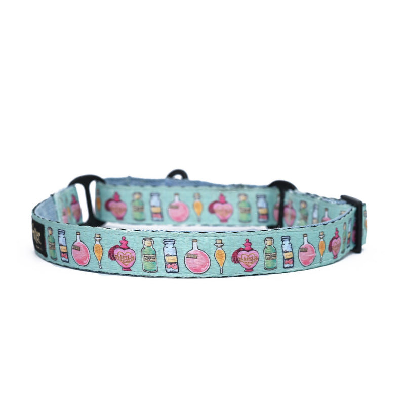 Potions in Motions Dog Martingale Collar