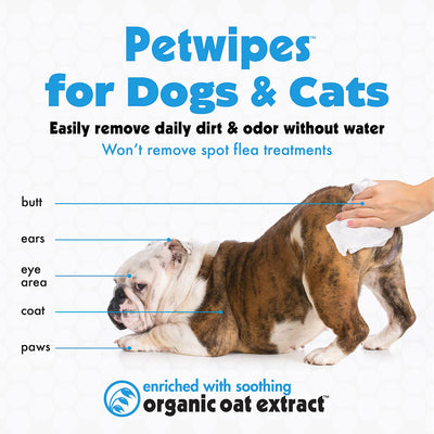 Travel Pack Pet Wipes 100 Pieces