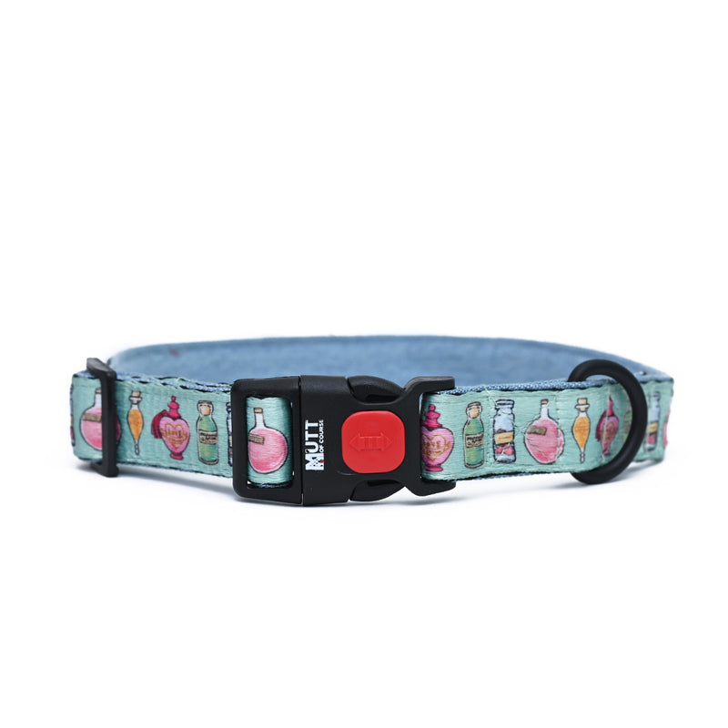 Potions in Motions Dog Collar