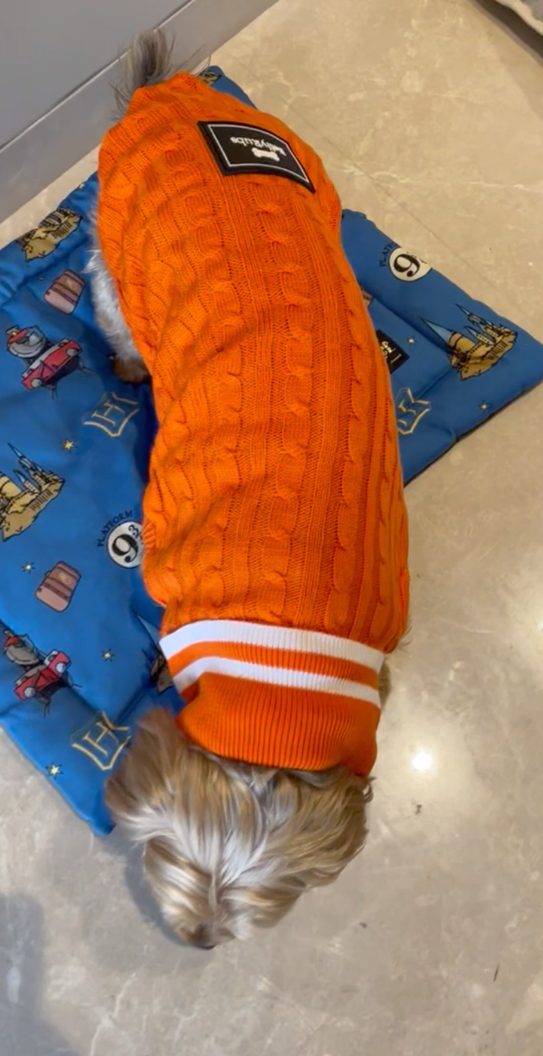 Knit Me Up Sweater- Orange