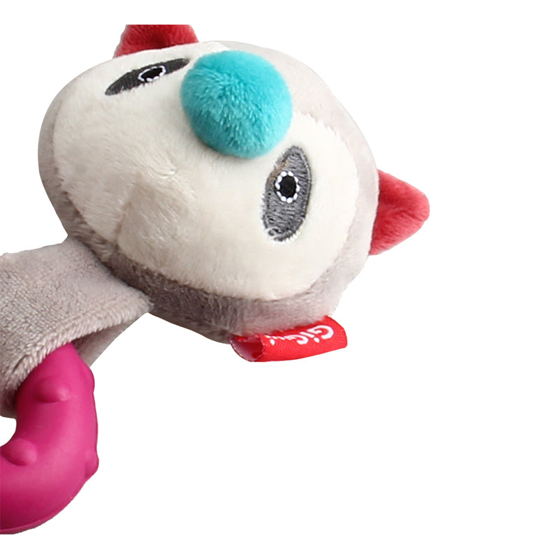 Suppa Puppa Coon S size Squeaker Inside  Plush/TPR