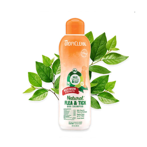 Extra strength flea treatment clearance