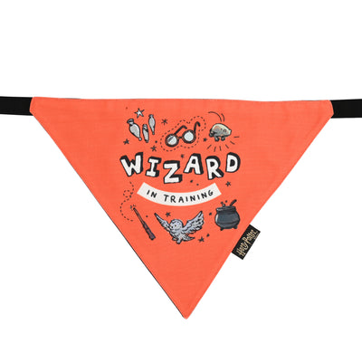 Woofy Wizard Bandana