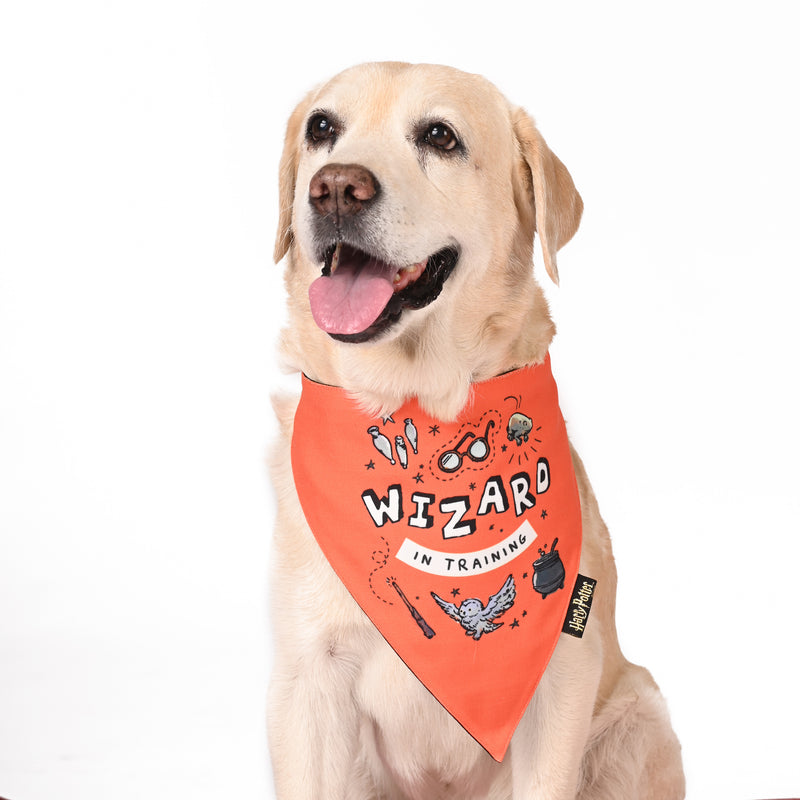 Woofy Wizard Bandana