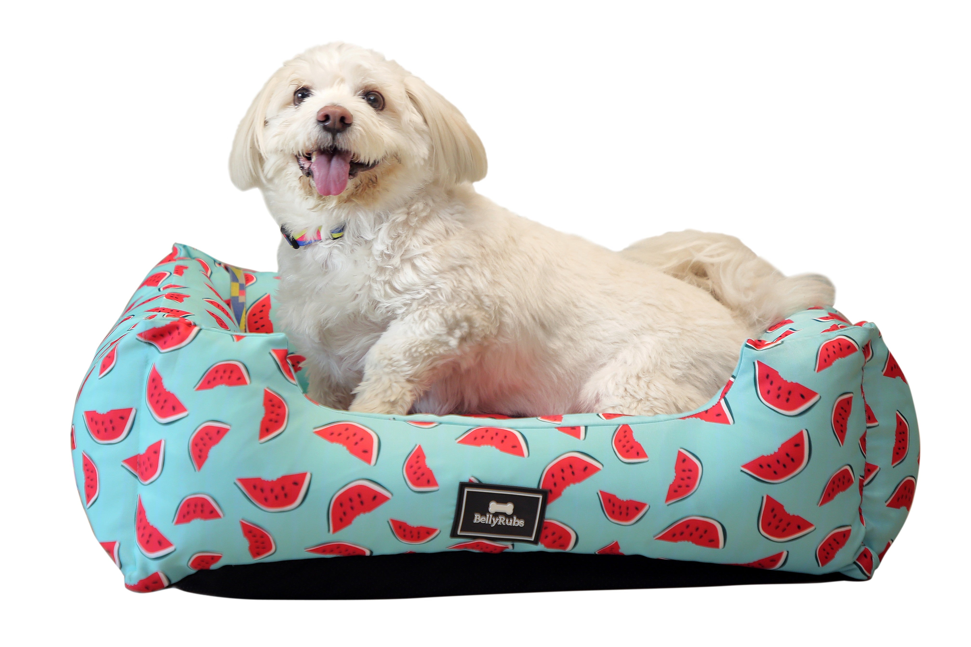 Girl puppy outlet bed