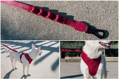 Bordeau Ruff Leash