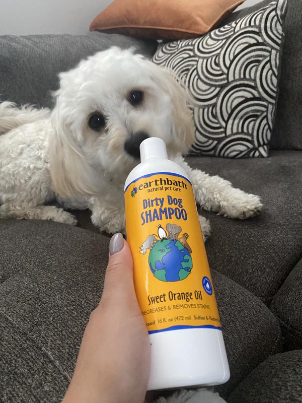 Dirty Dog Shampoo (Sweet Orange Oil)(472ml)