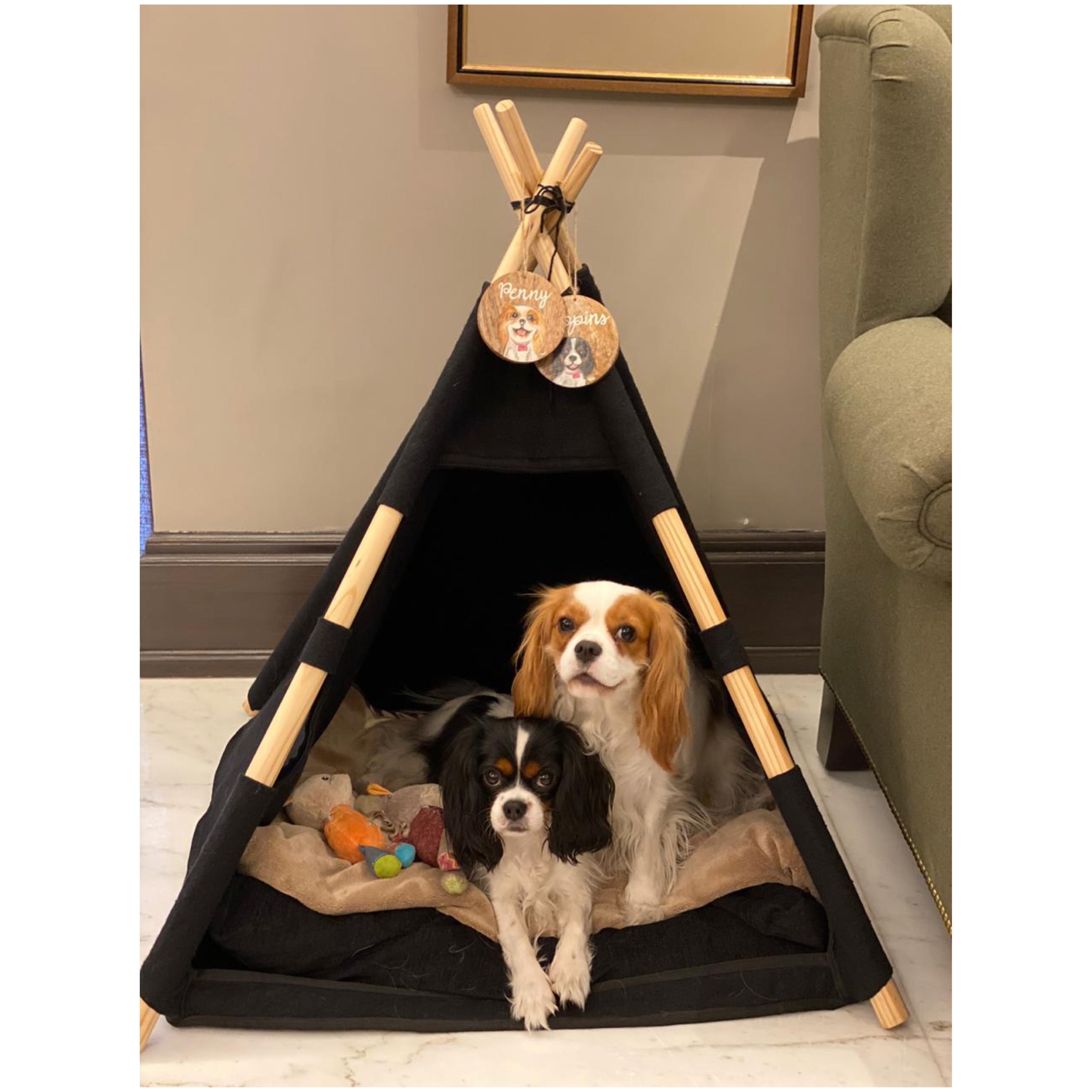 Indoor dog teepee best sale